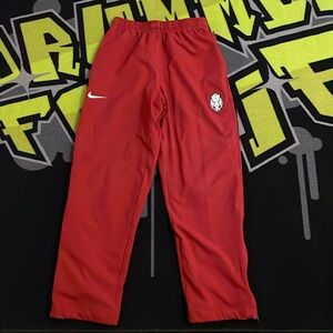 Nike dri-fit pants size M